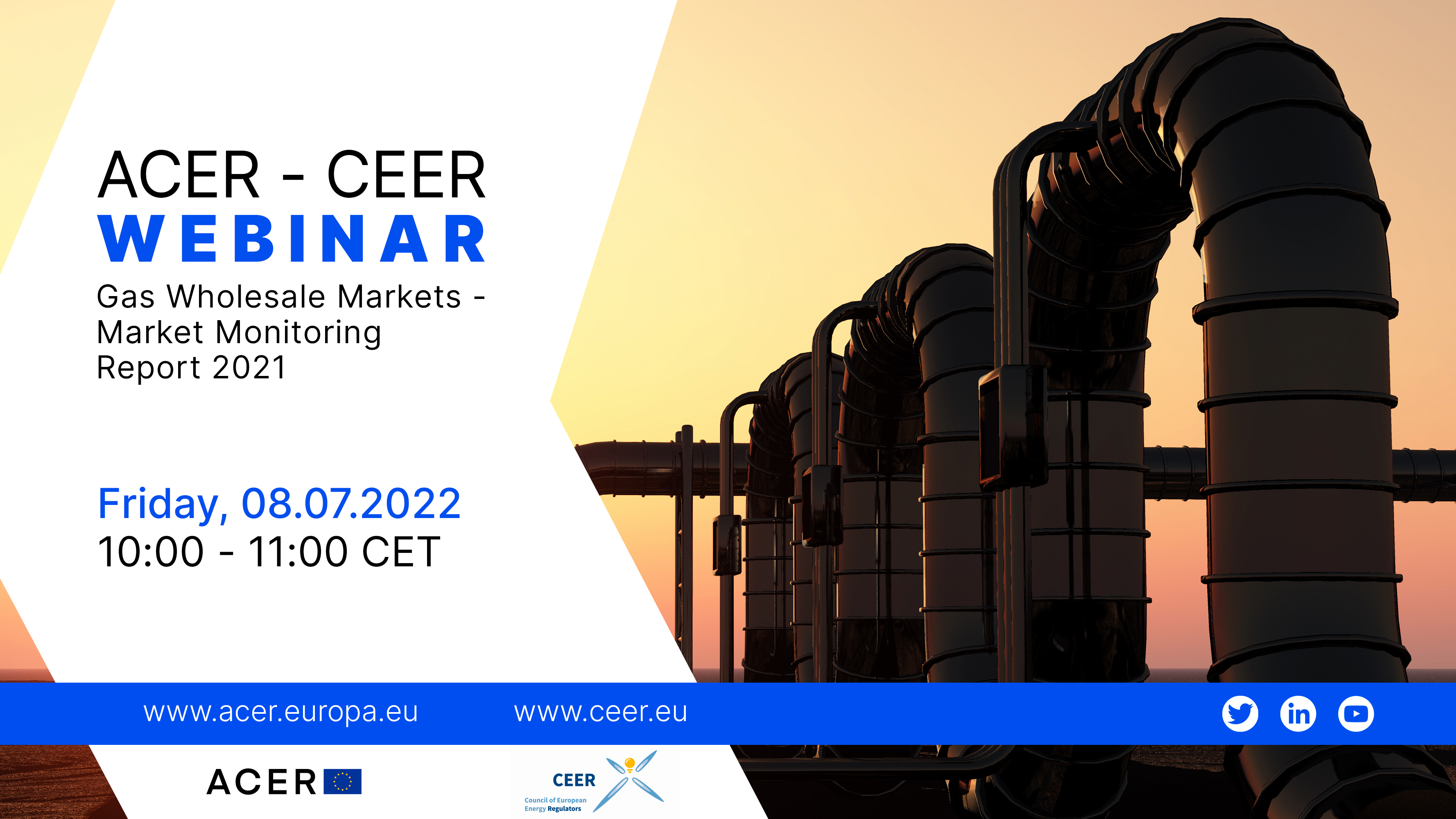 ACER - CEER webinar on the main findings of the Gas Wholesale Market Monitoring Report 