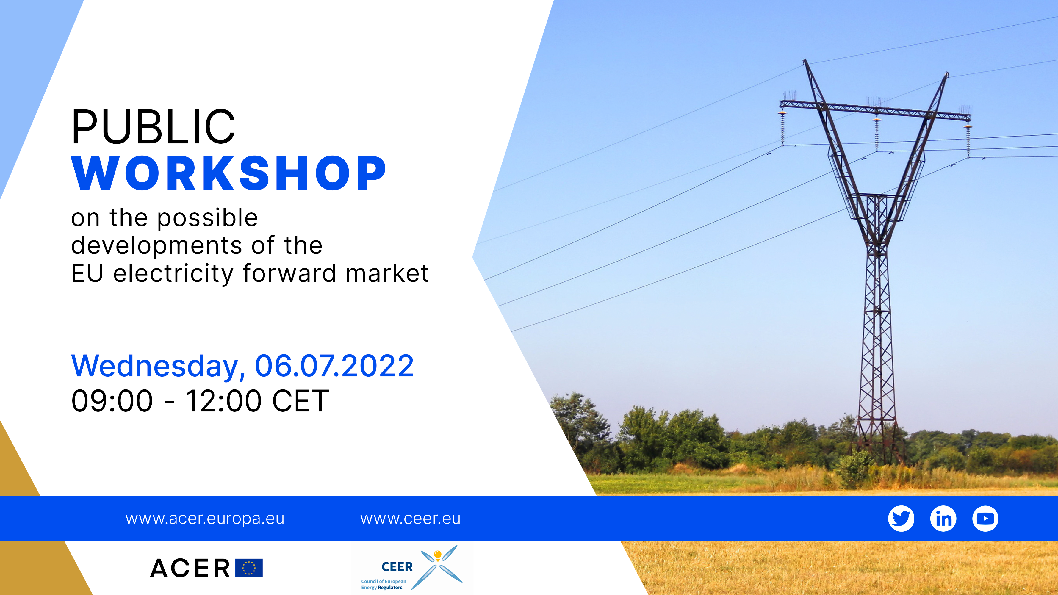 ACER-CEER Public Workshop on the possible developments of the EU electricity forward market 