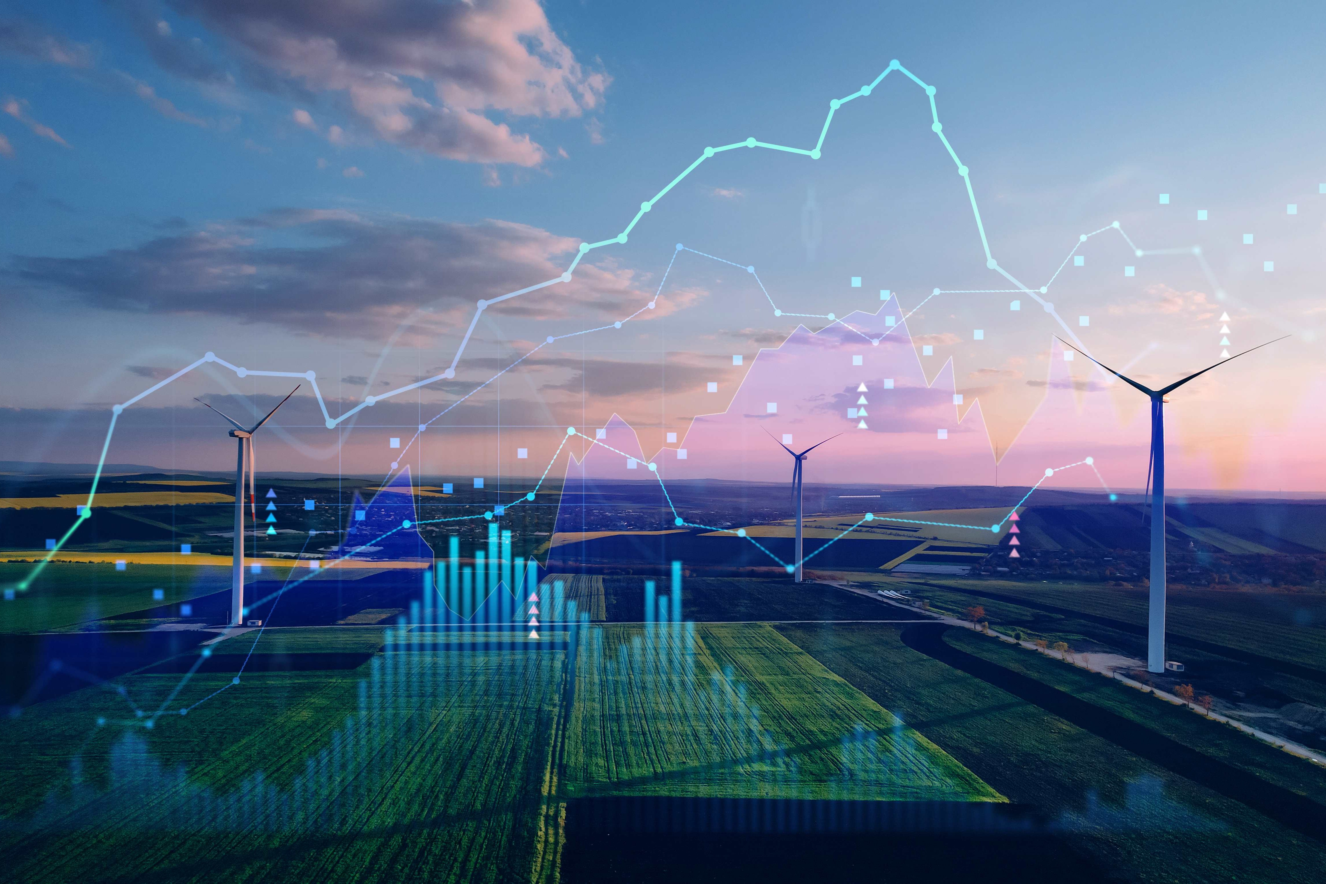 Electricity market and wind turbines