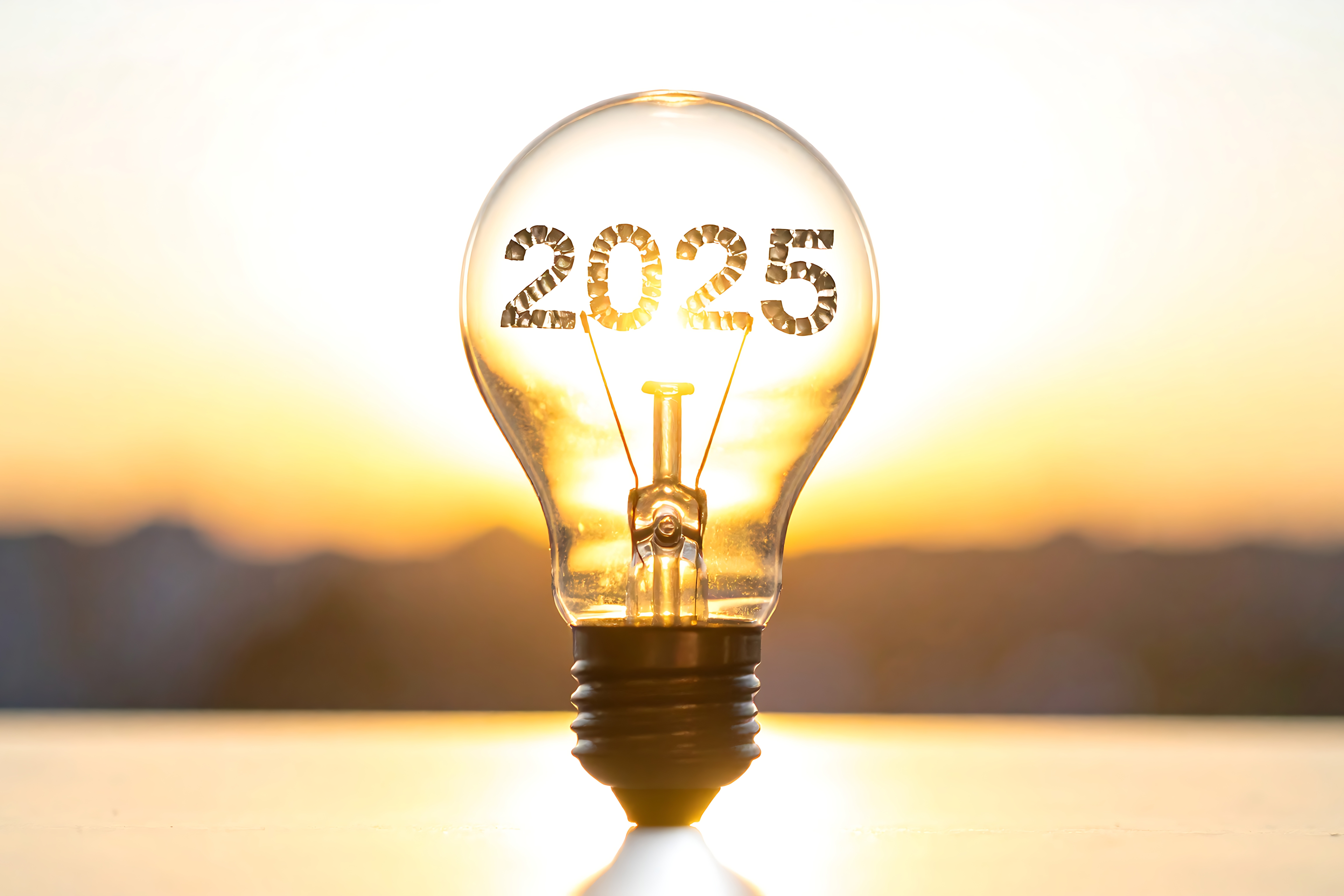 ACER Consolidated Annual Activity Report - 2025