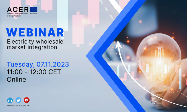 ACER webinar
