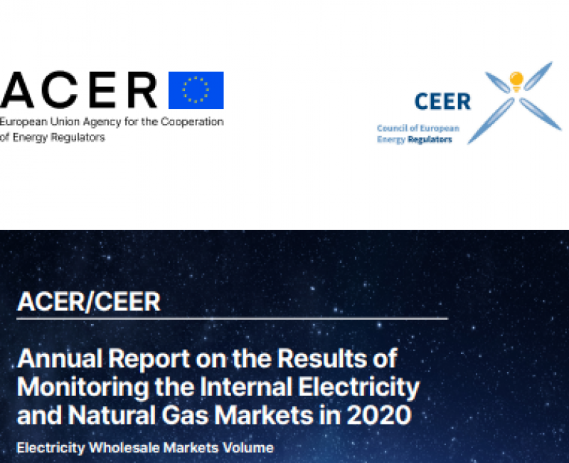 Electricity Wholesale Market Volume, Market Monitoring Report 2020