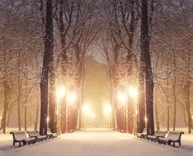 Winter