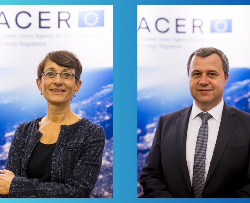 ACER Board of Regulators election