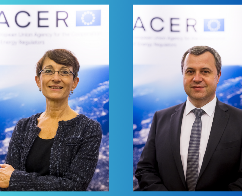 ACER Board of Regulators election 