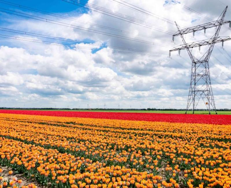 Electricity field
