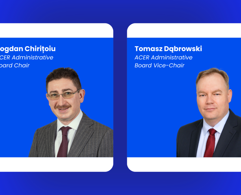 AB Chair and Vice-Chair