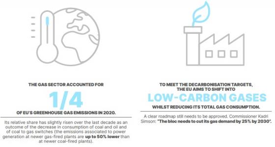 The role of gas in a transition phase towards decarbonisation