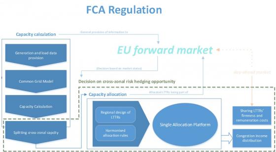 FCA Regulation