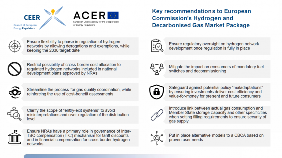ACER-CEER Reaction to hydrogen and decarbonised package