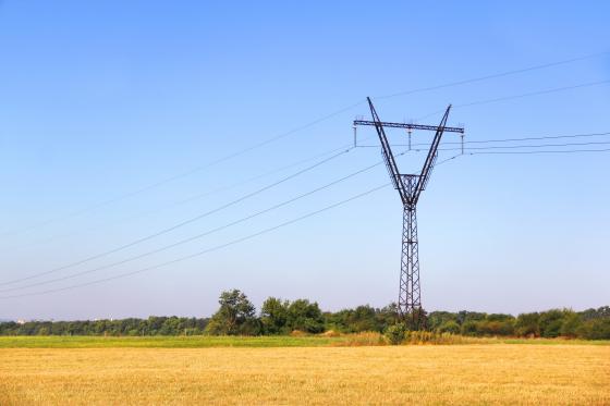 Electricity transmission line