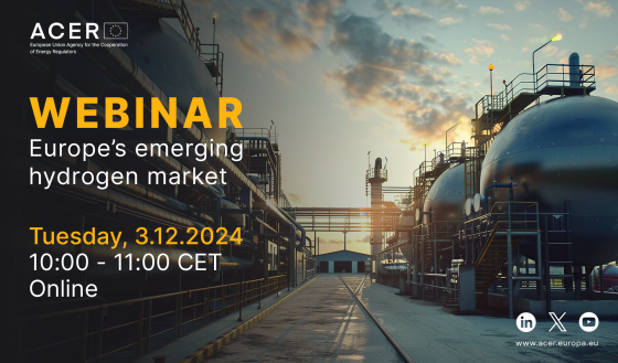ACER webinar on Europe's emerging hydrogen market