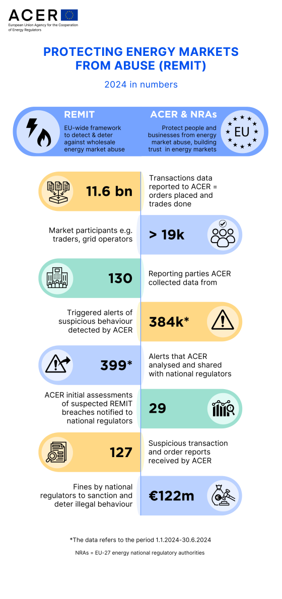 REMIT infographic 2024