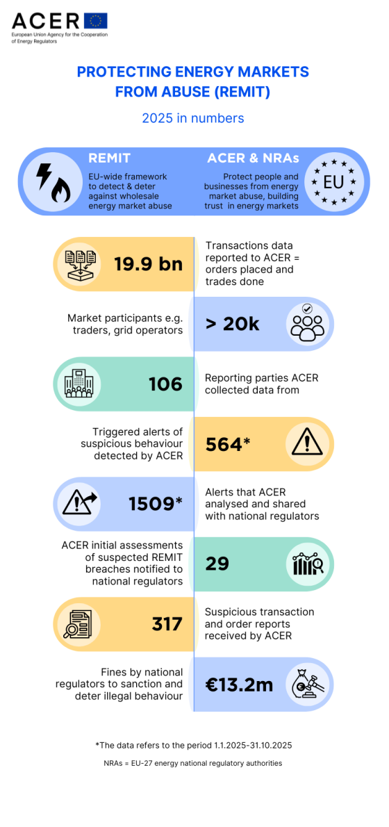 REMIT data infographics