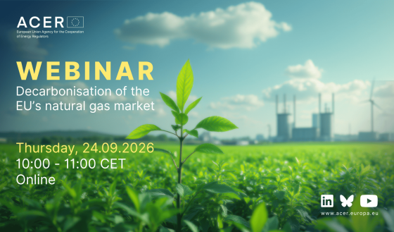 ACER webinar on decarbonised gases