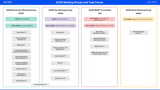 ACER working groups & task forces