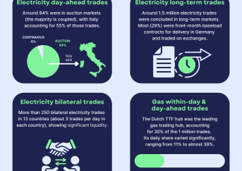 REMIT data infographics
